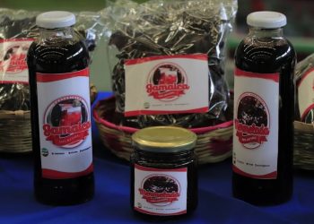 MAGA impulsa agrocadena de la rosa de Jamaica en Baja Verapaz