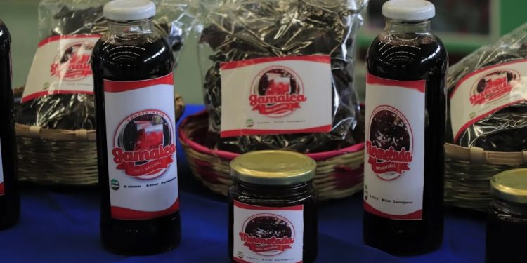 MAGA impulsa agrocadena de la rosa de Jamaica en Baja Verapaz