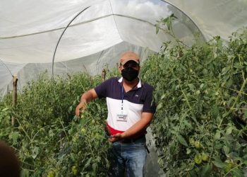 MAGA mantiene acciones para la seguridad alimentaria en Chiquimula