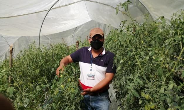 MAGA mantiene acciones para la seguridad alimentaria en Chiquimula