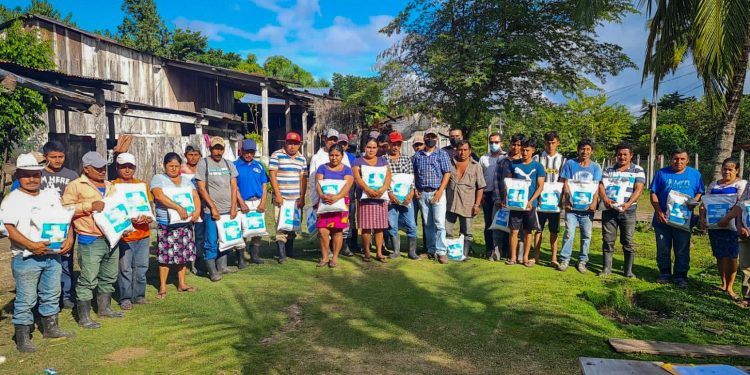 MAGA continúa entrega de semilla de maíz mejorada en área rural de Petén