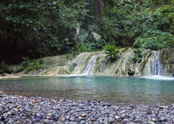 Aspecto de área protegida de Punta de Manabique, Izabal