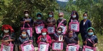 Salud busca capacitar a comadronas sobre lactancia materna