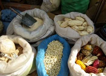 Expertos comparten métodos para activar turismo rural a través de gastronomía