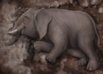 Estudian esqueleto hallado en Europa de una cría de elefante antiguo