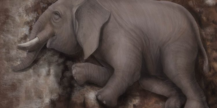 Estudian esqueleto hallado en Europa de una cría de elefante antiguo