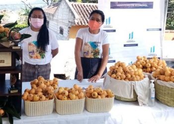 San Juan del Obispo celebrará novena edición del Festival del Níspero