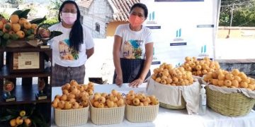San Juan del Obispo celebrará novena edición del Festival del Níspero