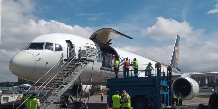 Ingresan al país más de un millón de dosis de vacunas Pfizer