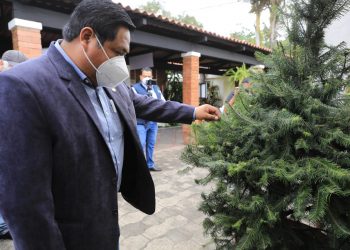 Inauguran ferias del pinabete 2021