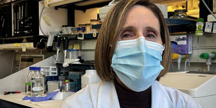 ¿Es más agresiva la ómicrón? ¿Sirven las vacunas? Diez preguntas esenciales