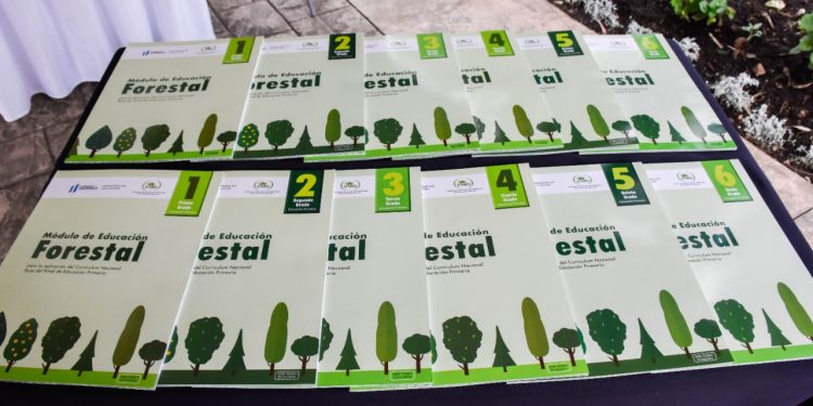 Módulos de educación forestal serán priorizados en 14 departamentos
