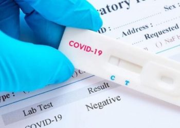 OMS y CSIC acuerdan la cesión global de la licencia de un test covid español