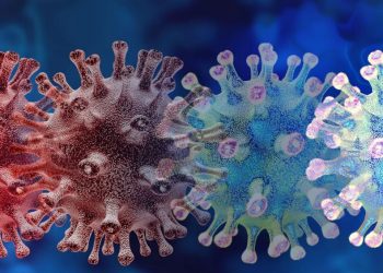 Detectan nueva variante del SARS-Cov-2 en Sudáfrica