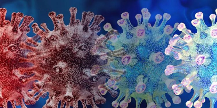 Detectan nueva variante del SARS-Cov-2 en Sudáfrica