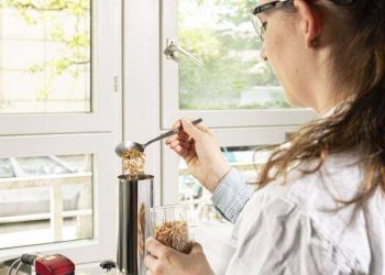 Tecnología en la cría de insectos para mejorar la producción alimentaria