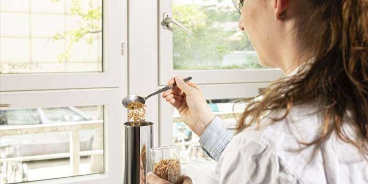 Tecnología en la cría de insectos para mejorar la producción alimentaria