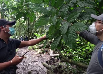 Inab fortalece capacidades de personal a cargo del sector forestal