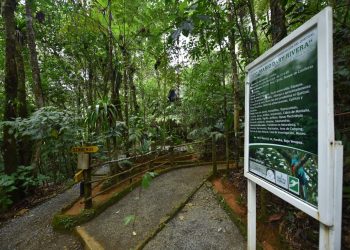 Biotopo del Quetzal, una riqueza natural en Guatemala