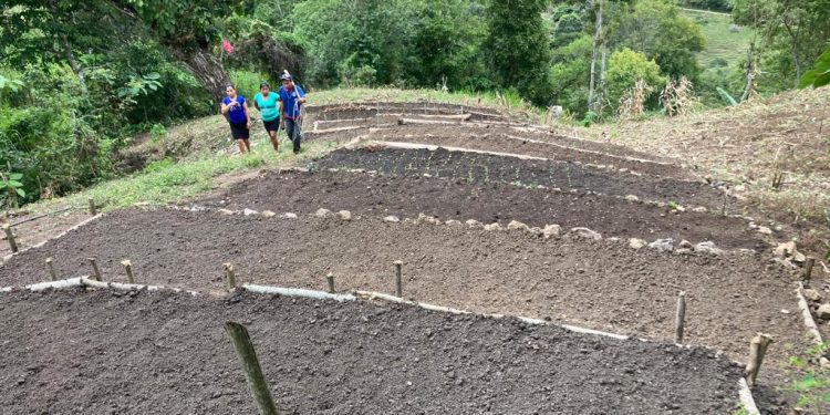 Alianza estratégica refuerza capacidades de comunitarios para la producción de alimentos