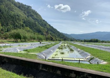 Supervisan plantas de tratamiento a cargo de AMSA