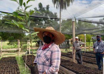Inab promueve proyectos de incentivos forestales en Petén
