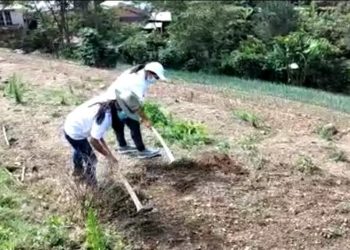 Jóvenes contribuyen con la agricultura rural