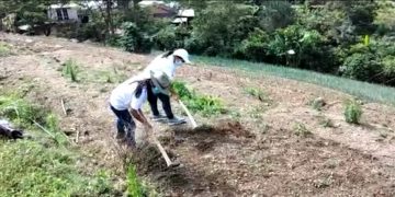 Jóvenes contribuyen con la agricultura rural