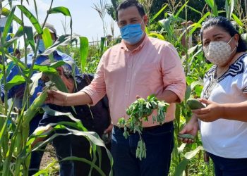 Huertos pedagógicos refuerzan educación y nutrición infantil en Masagua