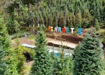 Inab realiza Gira Regional del Pinabete en Totonicapán