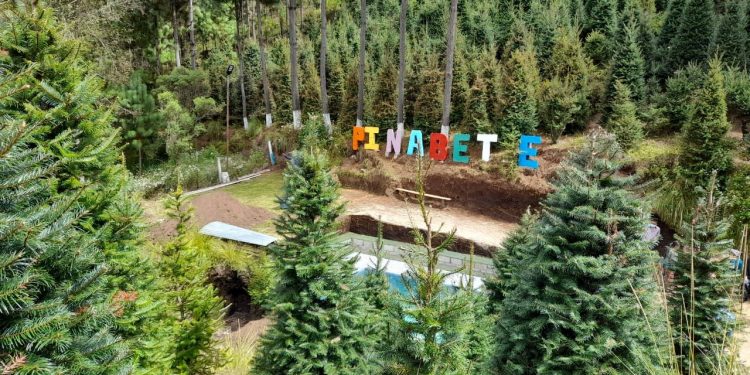 Inab realiza Gira Regional del Pinabete en Totonicapán