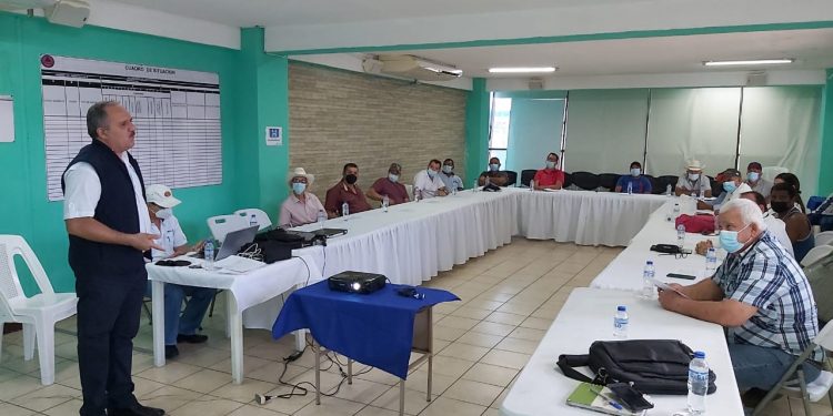 Consejo Nacional de Desarrollo de El Progreso revisa producción de limón