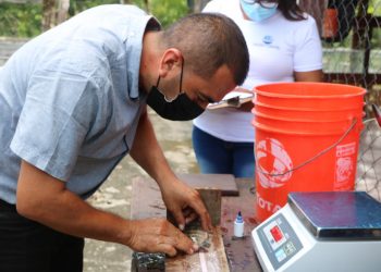 Petén: efectúan talleres para formación de bancos de reproductores de tilapia