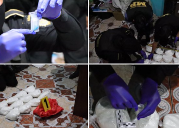 Allanamientos y capturas