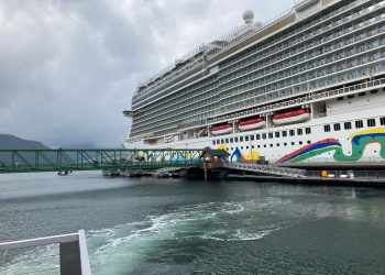 EE. UU. reporta más de mil 350 casos de COVID-19 en cruceros en cuatro meses