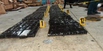 Suman 616 paquetes de cocaína decomisados en Izabal