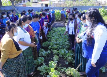 Mujeres fortalecen capacidades para cultivar alimentos