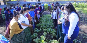 Mujeres fortalecen capacidades para cultivar alimentos