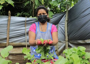 Más de 58 mil familias beneficiadas con programa de Alimentos por Acciones