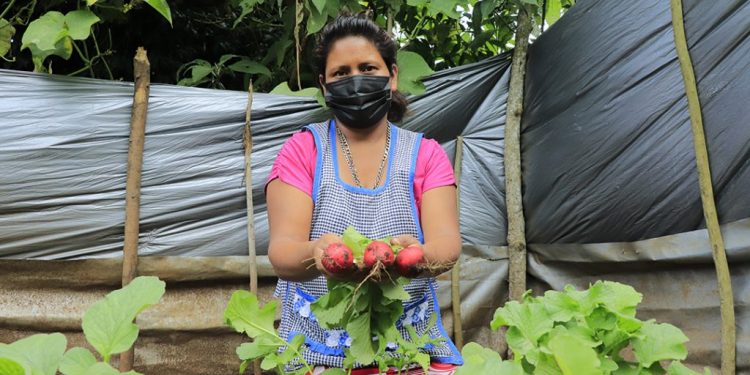 Más de 58 mil familias beneficiadas con programa de Alimentos por Acciones