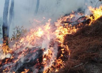 Quetzaltenango, en prevención ante incendios forestales