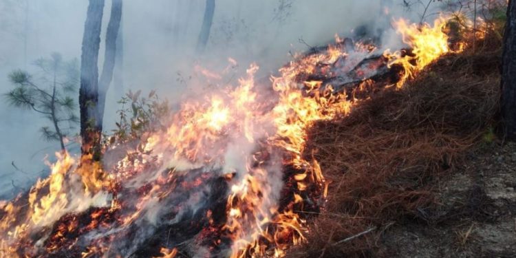 Quetzaltenango, en prevención ante incendios forestales
