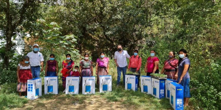 Programa Huertos Familiares ha beneficiado a más de 88 mil familias