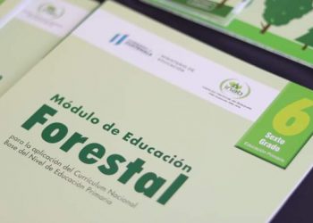 Crean módulos de educación forestal para alumnos de primaria