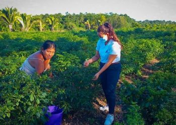 MAGA asiste a comunitarios de Petén en la producción y transformación de alimentos