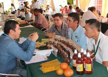 Productos agrícolas de exportación ganan terreno a nivel internacional