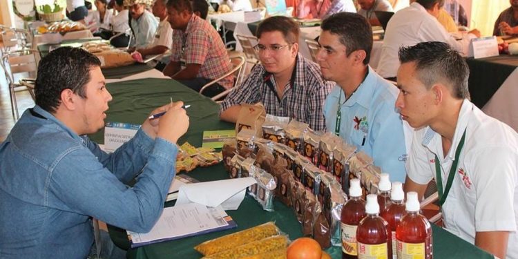 Productos agrícolas de exportación ganan terreno a nivel internacional