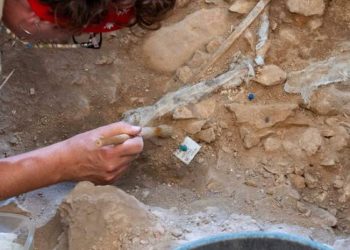 Entierro de un bebé revela que la sociedad mesolítica honraba a los niños