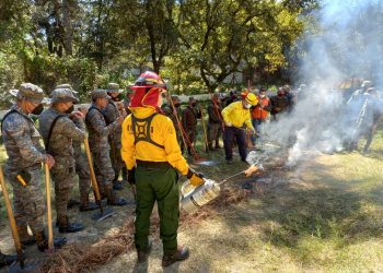 Soldados refuerzan capacidades en el combate de incendios forestales