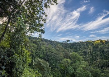 Autoridades de Izabal analizan amenazas de la variabilidad y cambio climático
